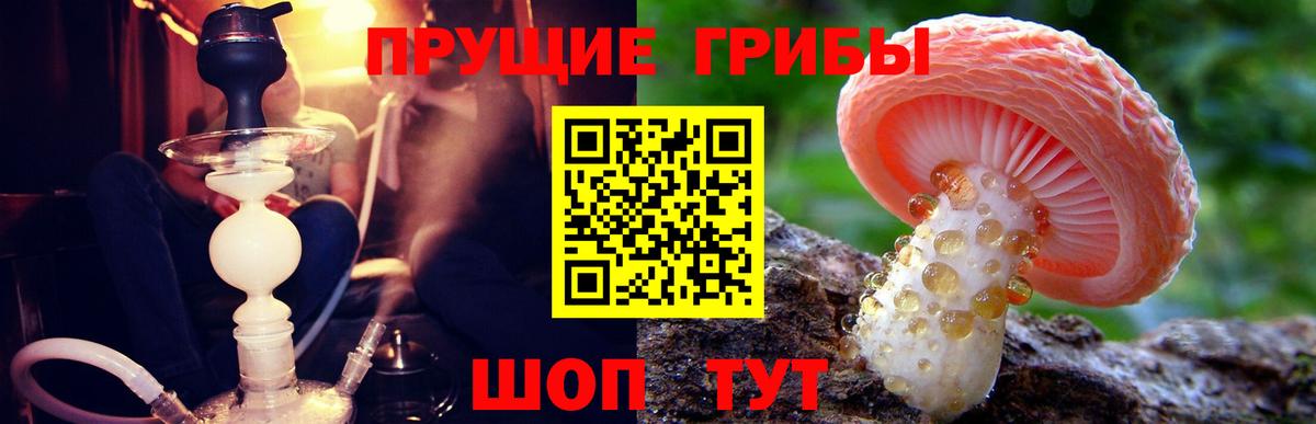 Галлюциногенные грибы MAGIC MUSHROOMS  Вход с VPN  Севастополь 